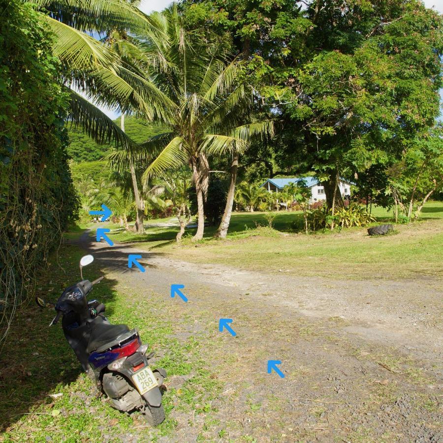 'Are Pepe One Bedroom Container Style Unit Rarotonga Zewnętrze zdjęcie