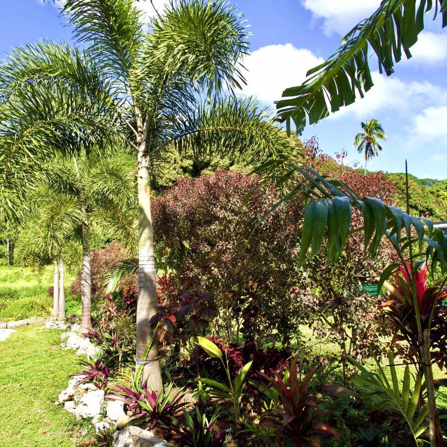 'Are Pepe One Bedroom Container Style Unit Rarotonga Zewnętrze zdjęcie
