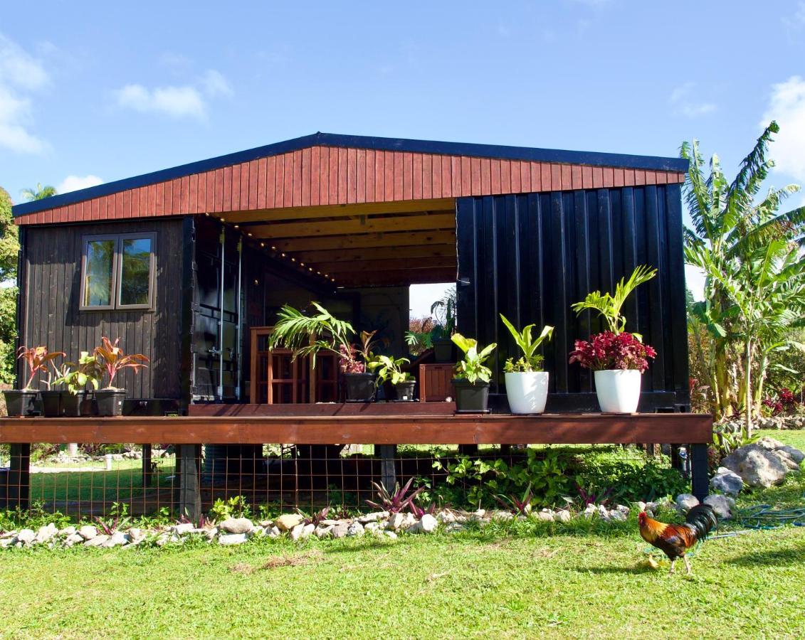 'Are Pepe One Bedroom Container Style Unit Rarotonga Zewnętrze zdjęcie